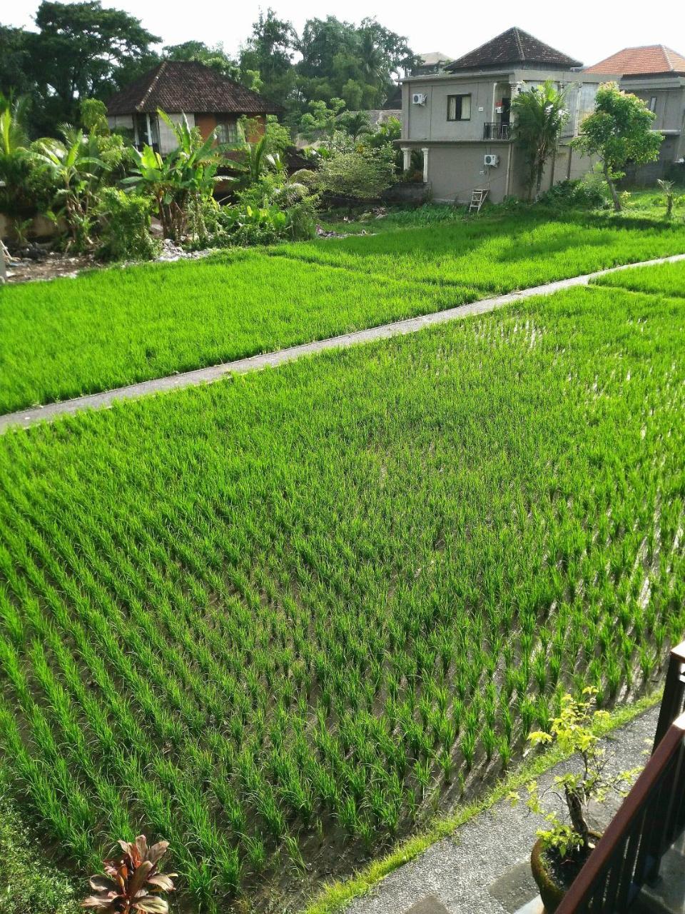 Villa Peteka Ubud Exterior foto